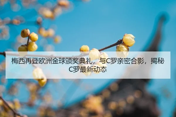 img_1784615174129_48_1_301.jpg