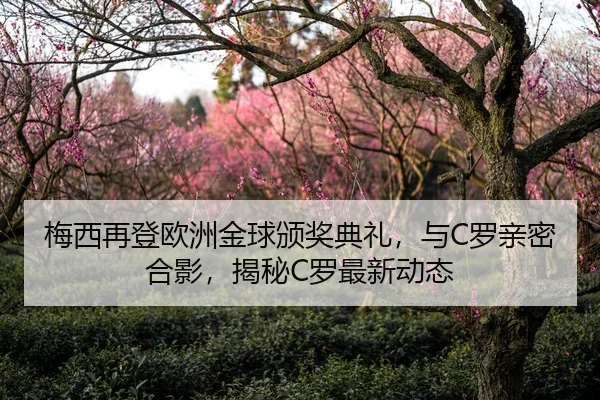 梅西再登欧洲金球颁奖典礼，与C罗亲密合影，揭秘C罗最新动态